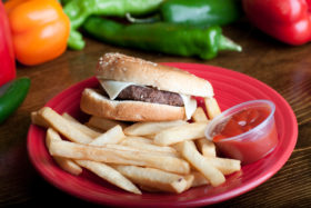 Cheese burger-El Jefe Restaurant & Mexican Grill, Newark, Delaware