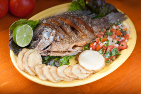 Mexican Fried Fish -El Jefe Restaurant & Mexican Grill, Newark, Delaware